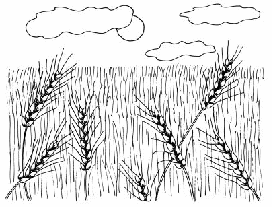 How to Draw Landscapes