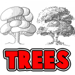 How to Draw Trees, Bark, Twigs, Leaves and Foliage Drawing Tutorial 