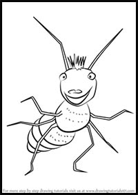 How to Draw Ned from Miss Spider's Sunny Patch Friends