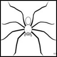 How to Draw a Spider