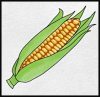 How to Draw Corn