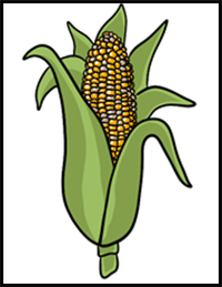 How to Draw Corn