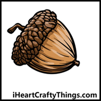 How to Draw an Acorn - A Step by Step Guide