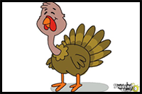How to Draw a Turkey For Kids