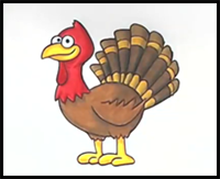How to Draw a Cartoon Turkey