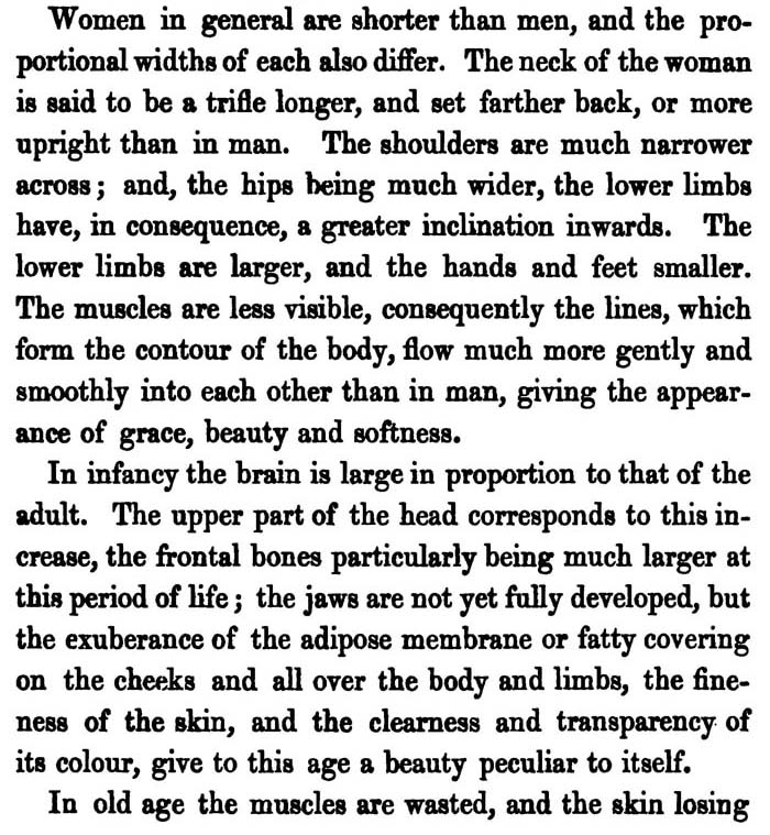 General Proportions Facts About Human Figures