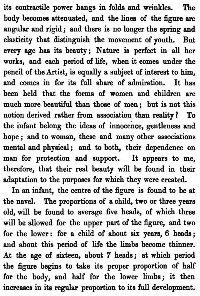 General Proportions Facts About Human Figures