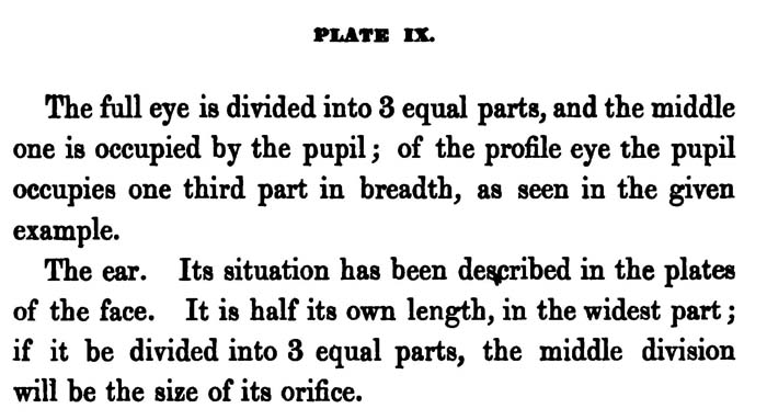 How to Draw the Face