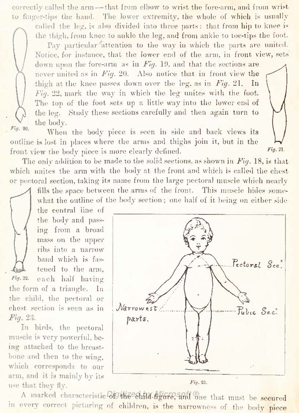 Drawing Solid Form of Children