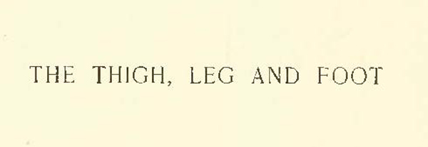 Drawing Baby Feet and Legs