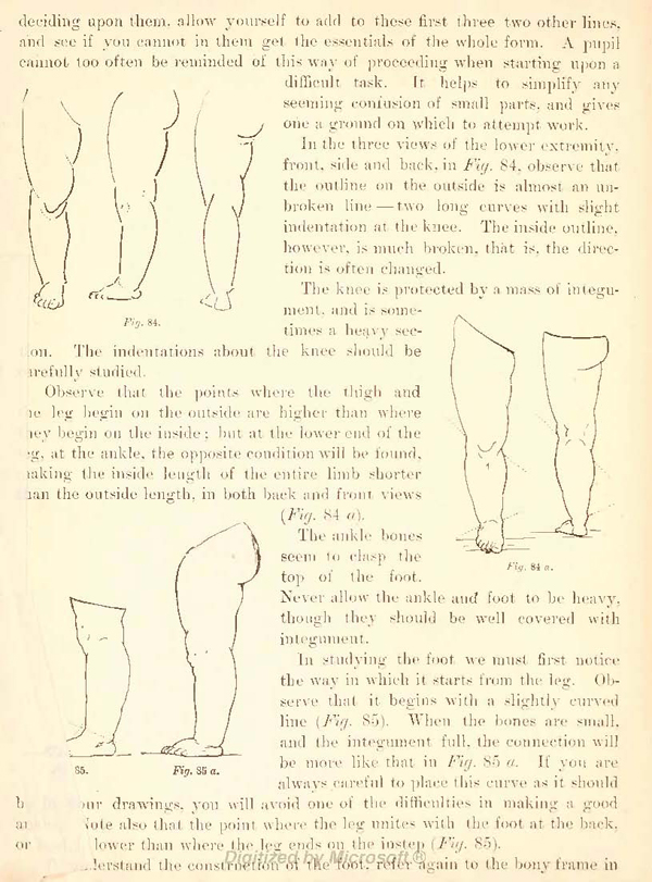 drawing kids thighs legs and foot
