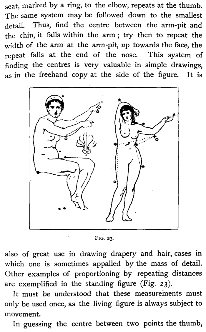 figure drawing the human model