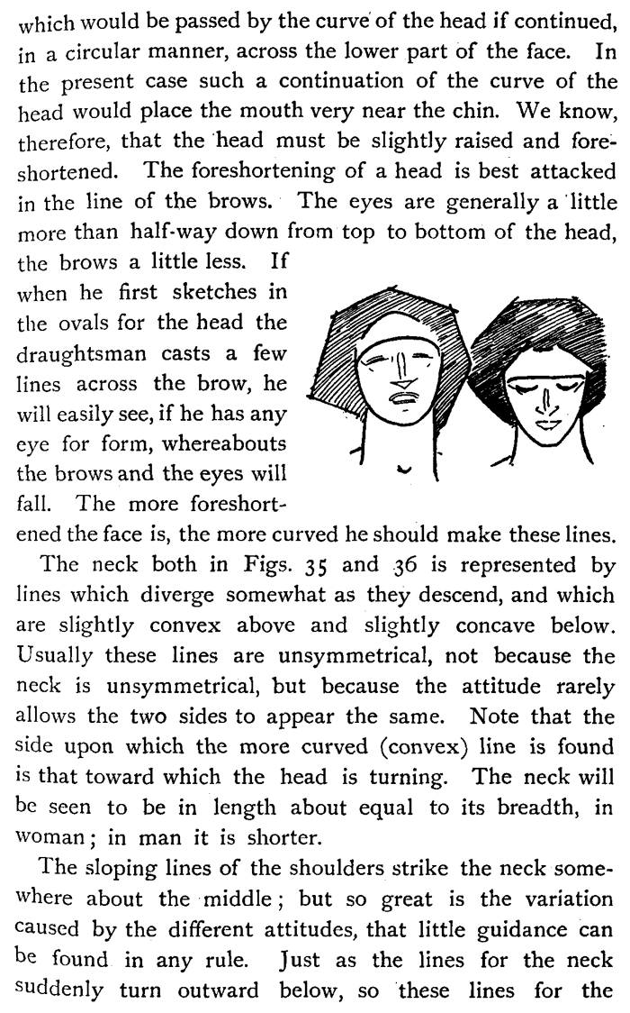 Drawing Head and Neck