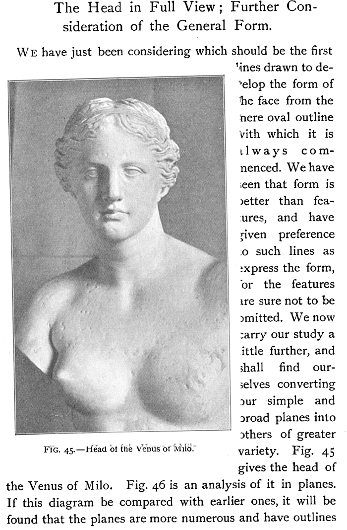 Drawing Head and Neck