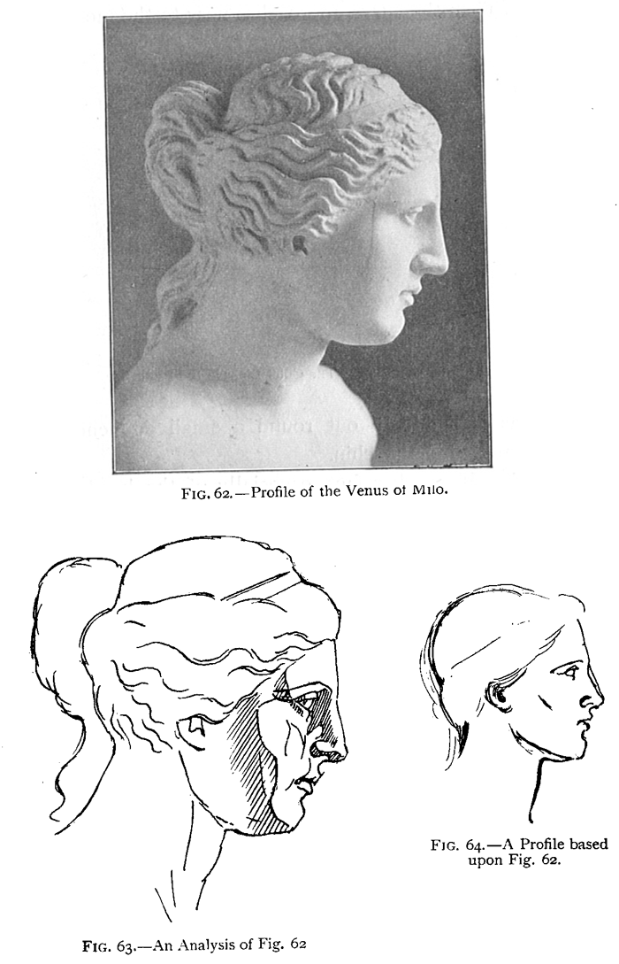 profile of the venus milo