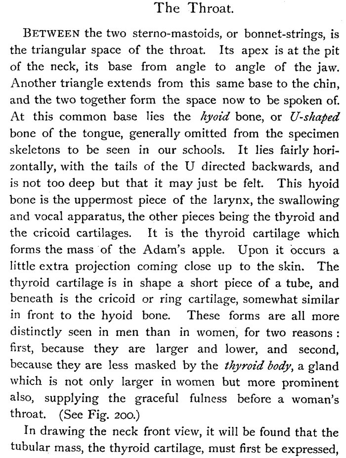 Drawing Human Throats