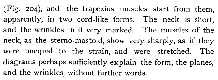 Drawing Head and Neck