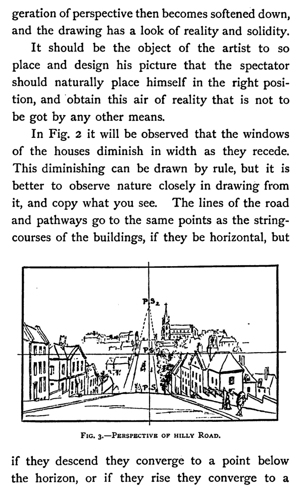 Nature Drawing in Perspective
