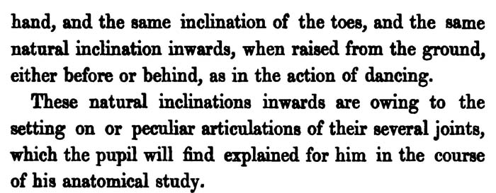 Drawing Hands and Feet