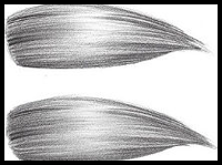 How to Draw Realistic Hair: The Ultimate Tutorial