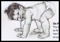 Baby Anatomy Reference