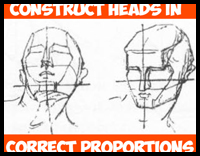Constructing the Human Head in Right Proportions
