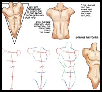 http://phantasmcomic.deviantart.com/art/Male-Torso-Tutorial-via-Phantasm-Comic-443763042