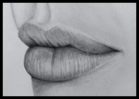 Visual Tutorial Guide to Lips