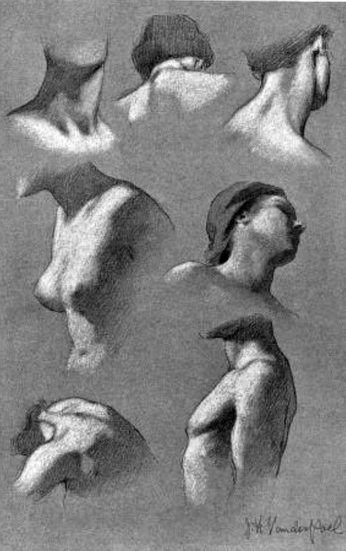 Drawing the Human Neck, Throat, and Shoulders with Anatomical Pictures