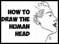 How to Draw the Human Head Step by Step Drawing Tutorial 