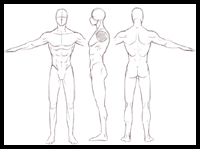 Male Figure Back View