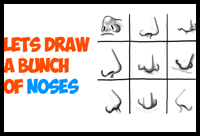 How to Draw Noses from All Different Angles and Position