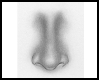 How to Draw a Nose (Front View)