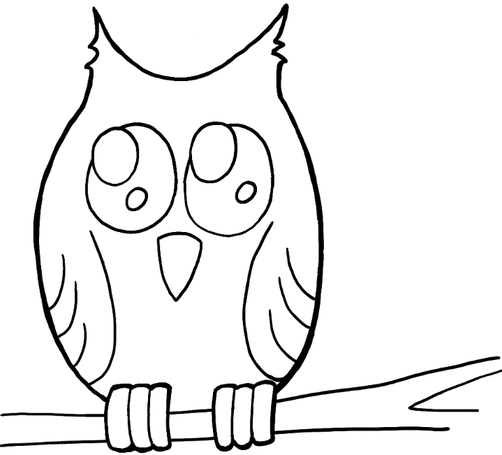 How to Draw Owl on Branch Easy Drawing Tutorial for Kids | How to Draw Dat