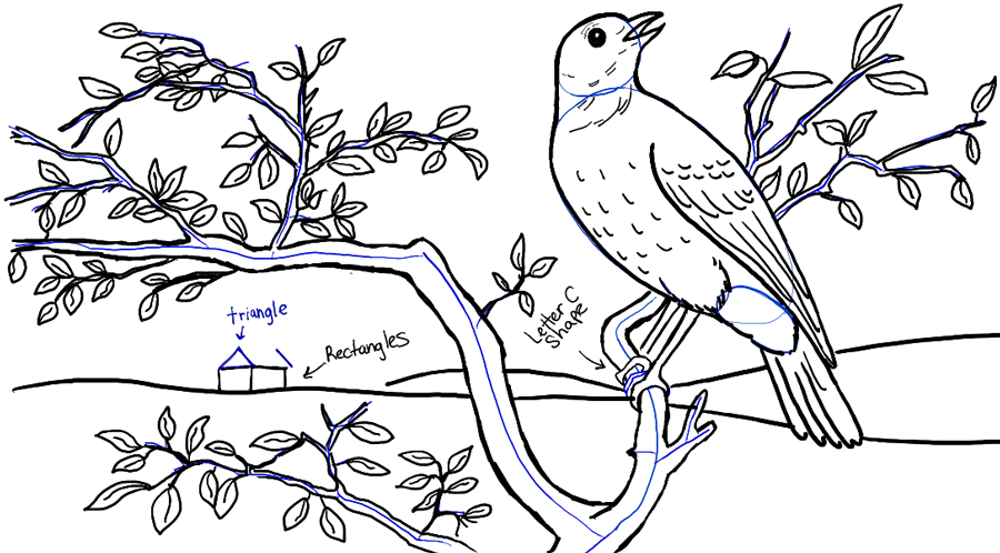 How to Draw a Bird in a Tree in Front of Rolling Hills Landscape 